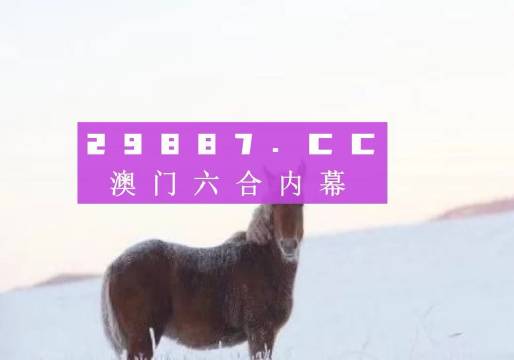 2024澳门精准一肖一码必中特,持续执行策略_Console56.205