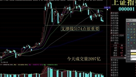 信质电机股票最新价格动态解析