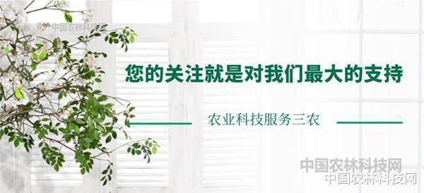 科技仙农最新章节，科技引领农业未来