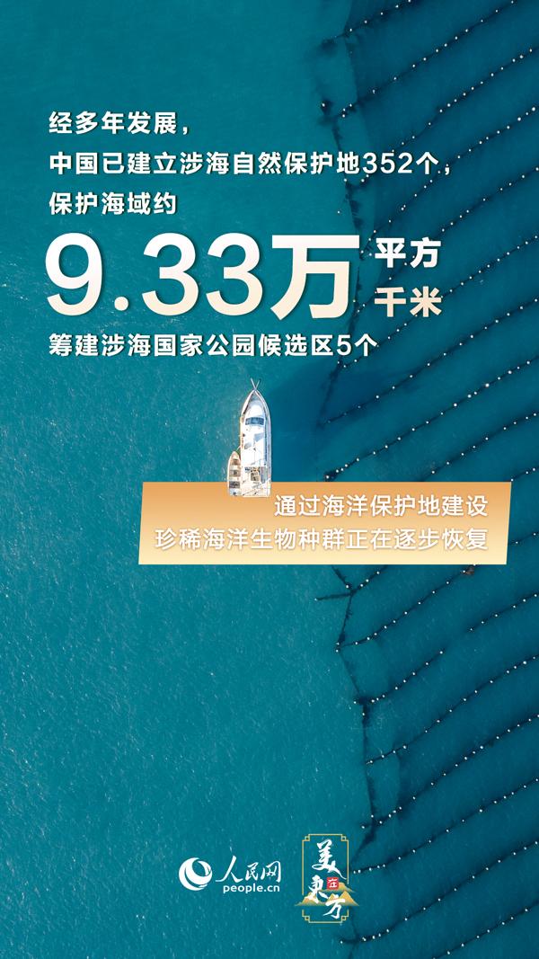 管家婆精准资料大全免费4295,创新设计执行_Kindle95.199