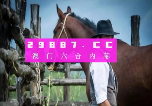 澳门王中王100的资料2023,理论解答解释定义_探索版54.915