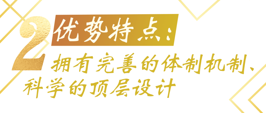 2024年11月15日 第46页