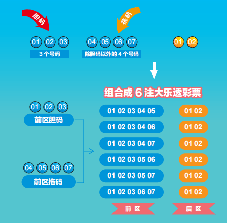 一码中中特,全面设计执行方案_运动版69.636