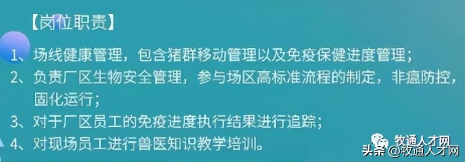 河南通许最新招聘，职业发展的新天地开启