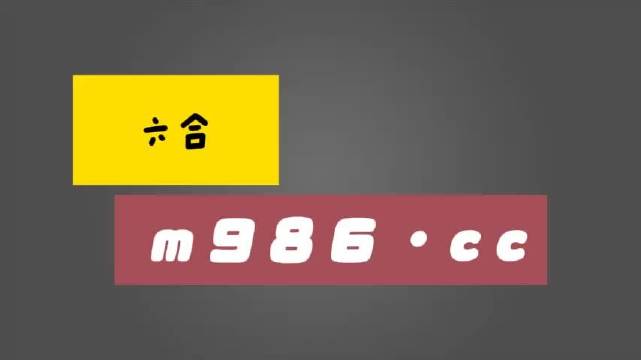 白小姐四肖四码100%准,实践研究解释定义_视频版92.394