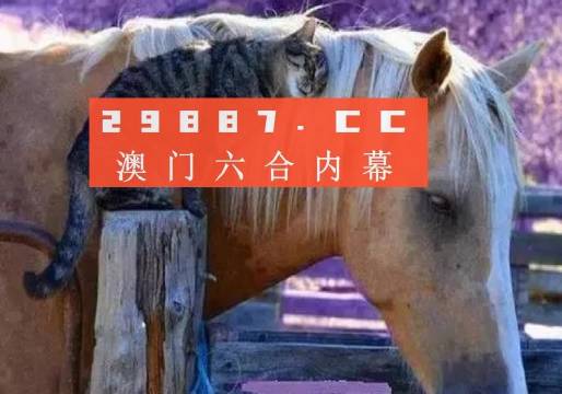 澳门必中一肖一码四不像,实时解析说明_tShop36.881