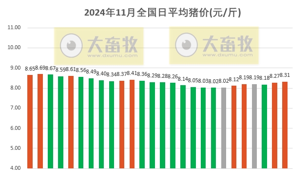 最新猪价行情分析与展望，价格走势及未来趋势解析