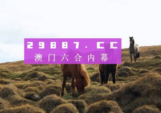 澳门4949开奖现场直播+开,权威说明解析_XP46.940