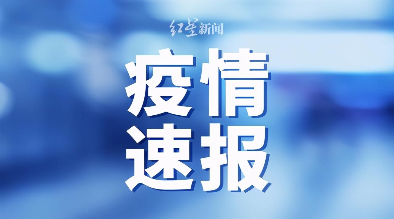 警惕新澳门精准四肖期期一一惕示背,最新正品解答落实_LT13.942