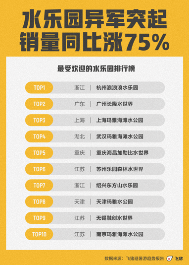 管家婆一票一码100正确河南,数据导向方案设计_冒险版55.462