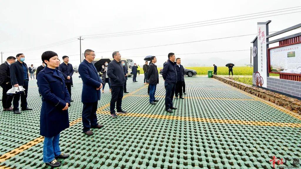 新杭镇最新项目，地区发展的强大引擎驱动力