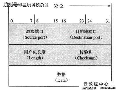 2024年12月10日 第60页