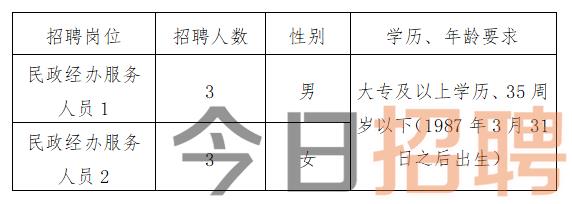 修水县民政局最新招聘信息及相关内容深度探讨