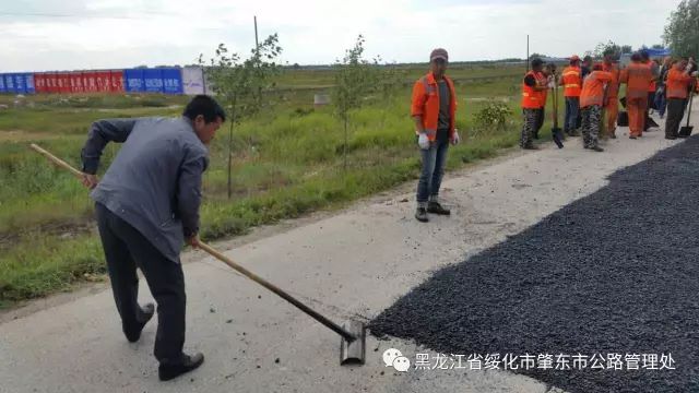 友好区级公路维护监理事业单位最新动态与成就概览