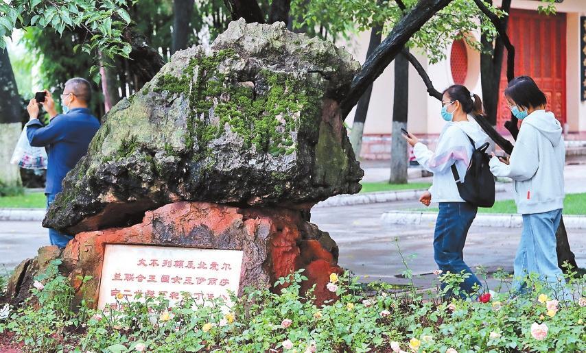 大观区防疫检疫站新任领导团队引领防疫新篇章，塑造未来防疫新格局