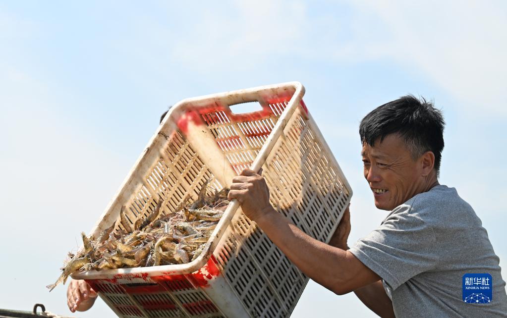 北塘区公路运输管理事业单位最新项目概览，全面解读事业单位最新动态