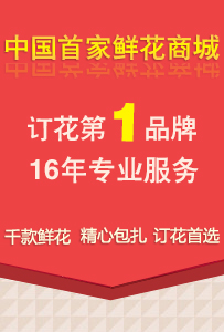 红泉村民委员会最新招聘信息汇总