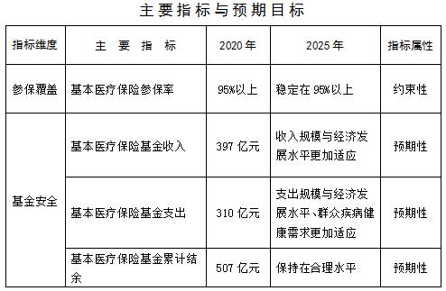 玉龙纳西族自治县医疗保障局最新发展规划概览