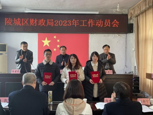 陵县财政局未来发展规划，探索新篇章，塑造财政新景象