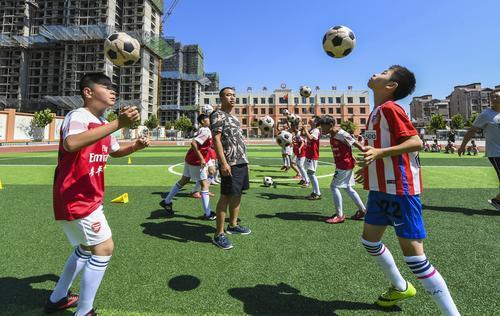 安平县小学最新动态报道