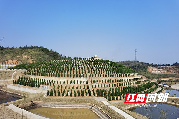 株洲市社会科学院最新项目，探索与突破的新征程