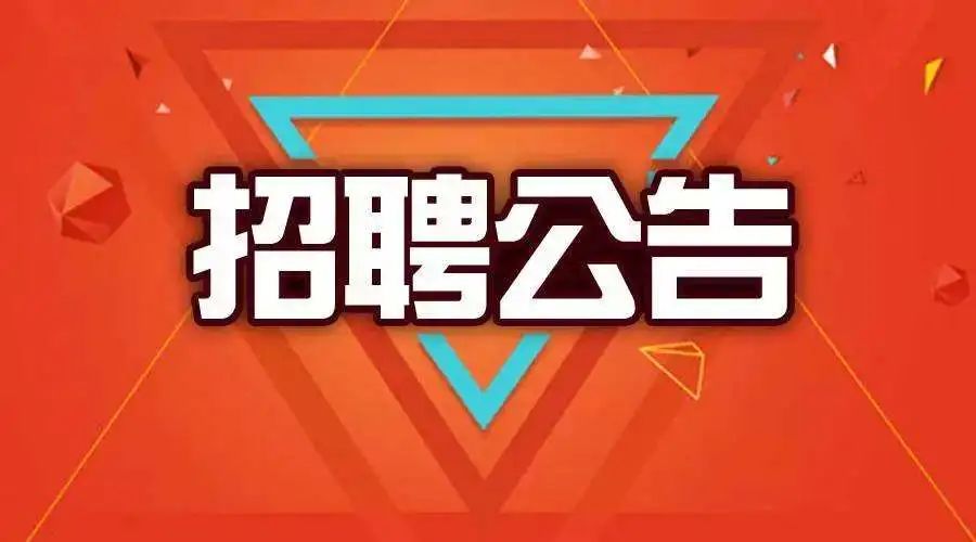 创业村委会最新招聘信息全面解析