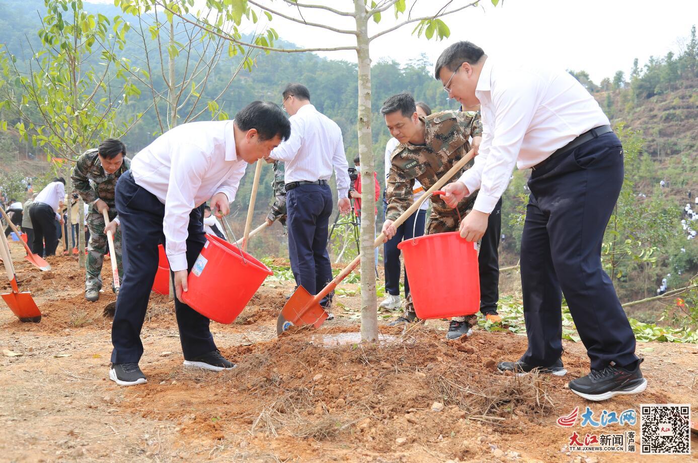 赣州市林业局最新动态报道