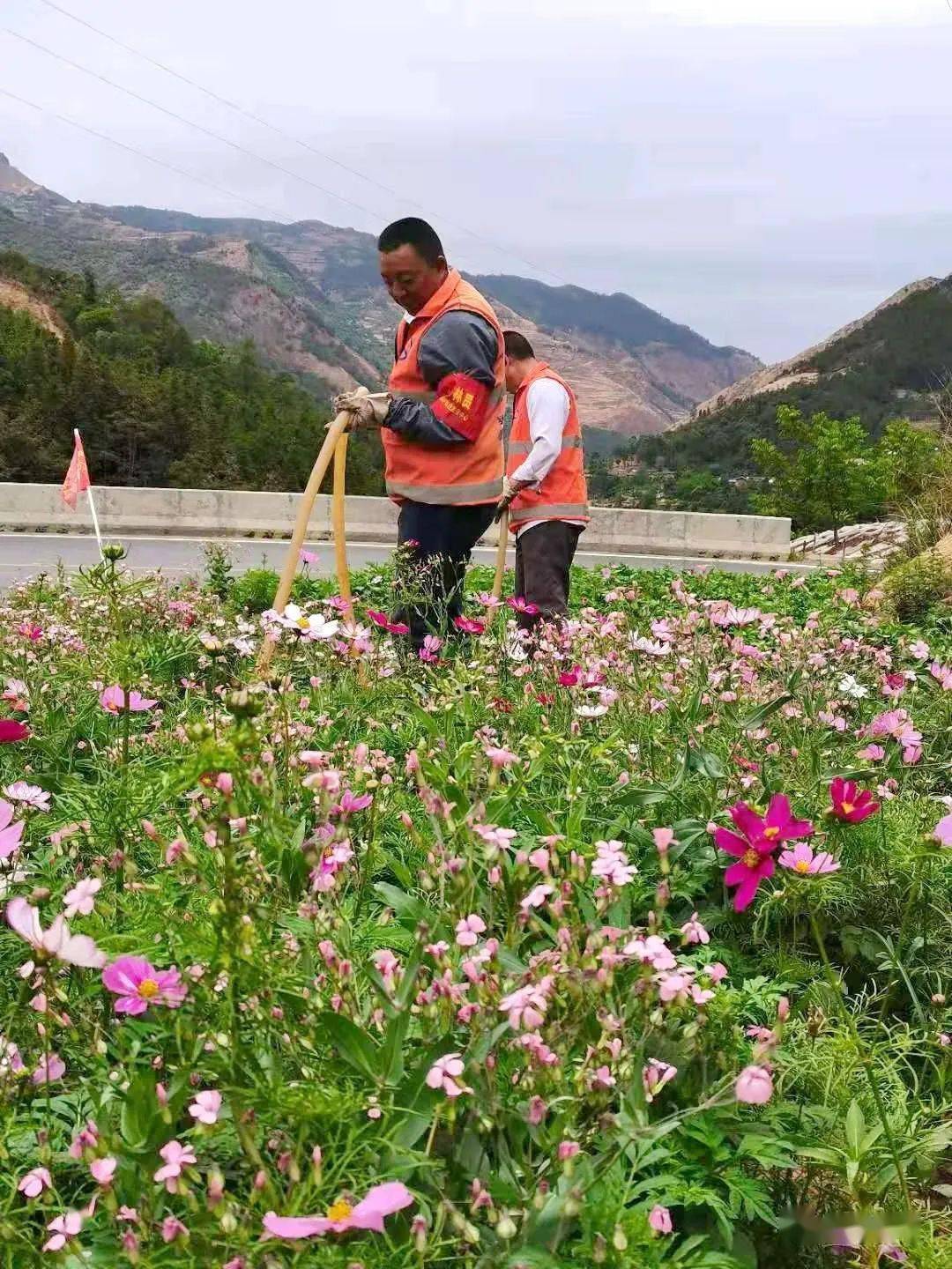 鼎城区公路运输管理事业单位招聘启事概览