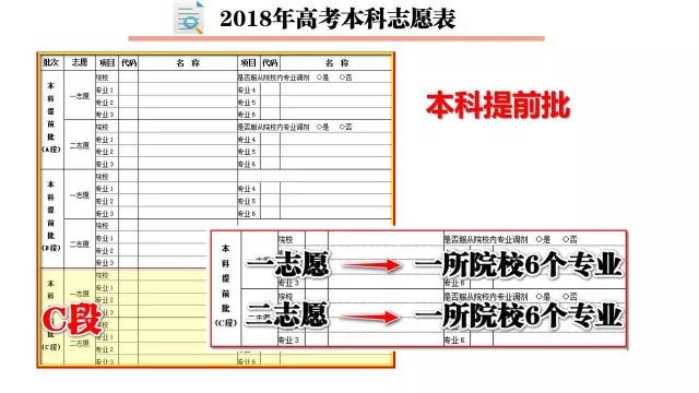 王中王一码一肖一特一中毛,专家分析解释定义_FHD版31.166