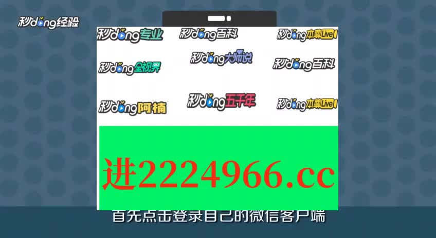 王中王一肖一特一中一MBA,专业说明评估_10DM28.923