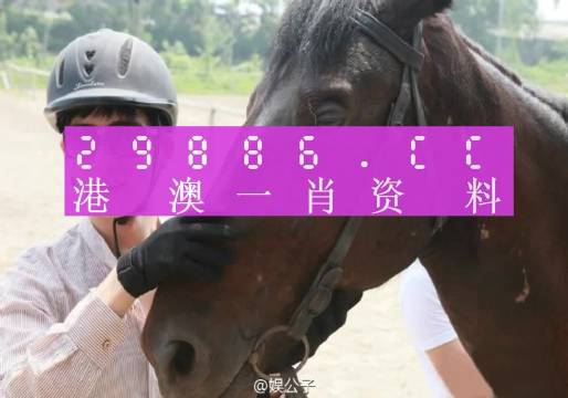 澳门今晚必中一肖一码准确9995,安全策略评估_尊享款78.680