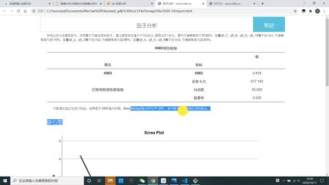 揭秘一码一肖100,经济性执行方案剖析_探索版49.98