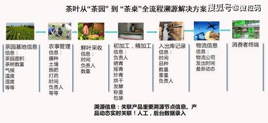 澳门一码一码100准确挂牌,实践性计划推进_超级版10.349