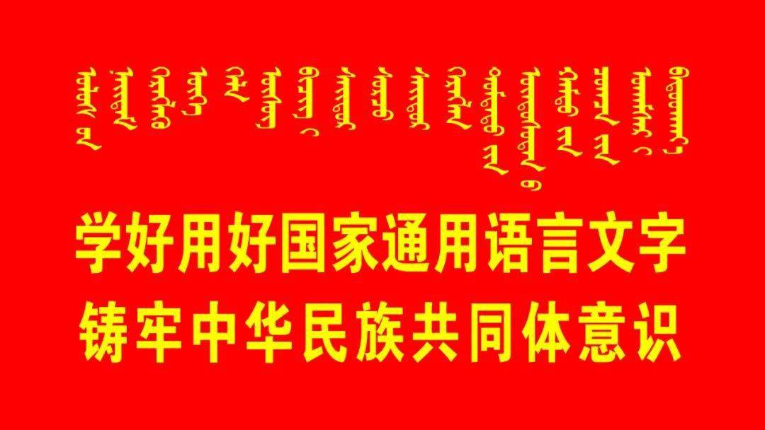 三肖必中三期必出凤凰网2023,确保成语解释落实的问题_iPhone96.135