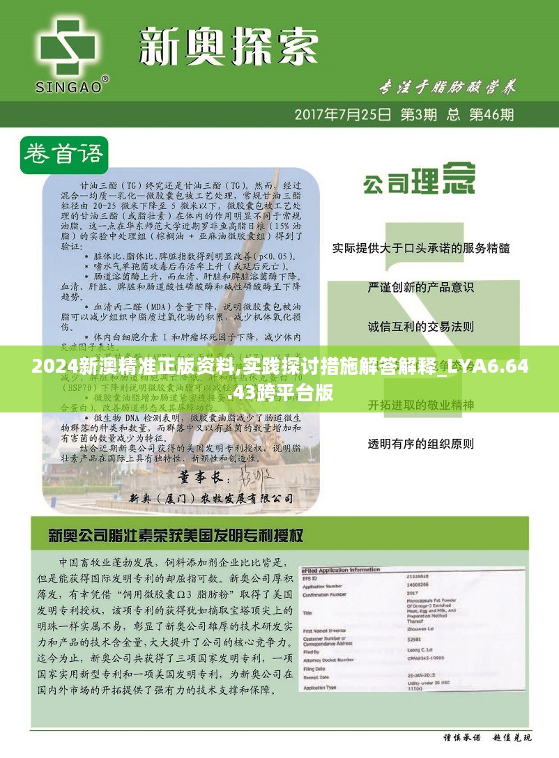 新澳2024年精准资料,定性评估说明_网页版27.165