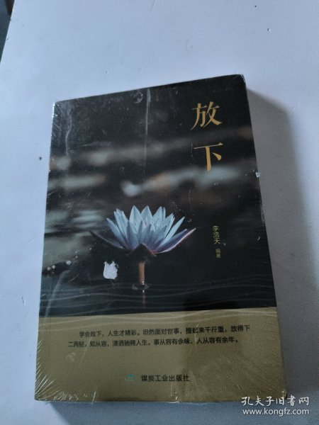 疯子三三最新小说放下，人生之旅的深刻启示探索