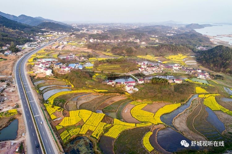 舒城五显镇最新动态概览