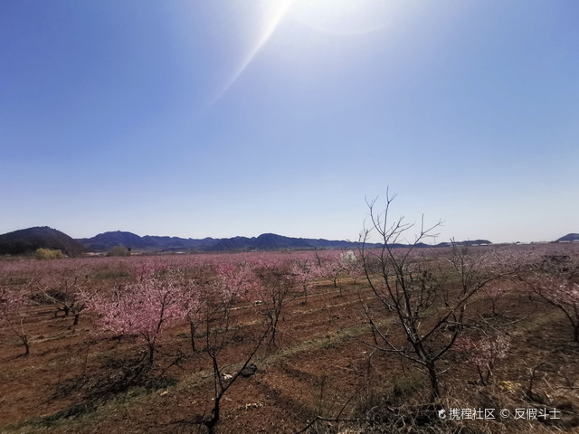 探访暖春花开地新址，自然人文交融的绝美胜地