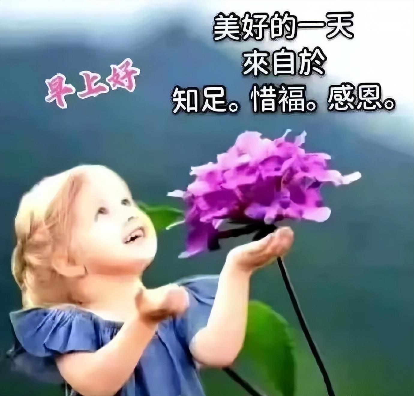 心灵抚慰之音，最新轻音乐的艺术魅力