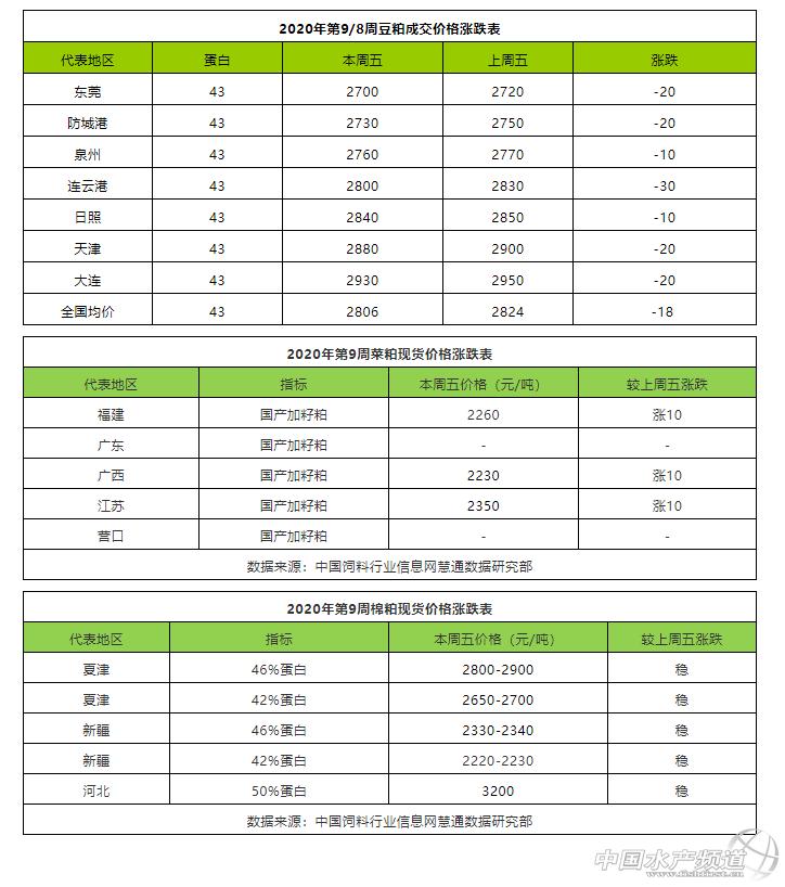 山东棉粕最新价格动态与市场分析概述